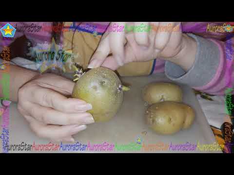 Video: Puoi mangiare patate rugose?