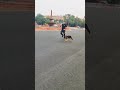 Let's do some Running 🐕🦺🏃🐕🦺🏃