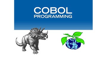 3 - Environment division (Curso básico de COBOL)