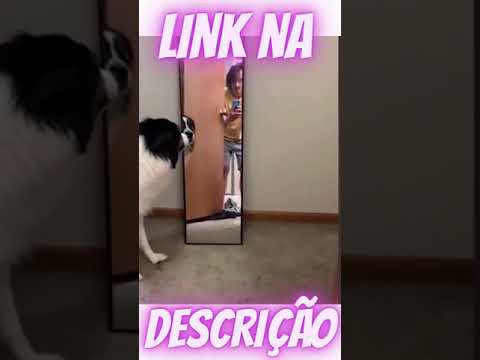 ele se assustou