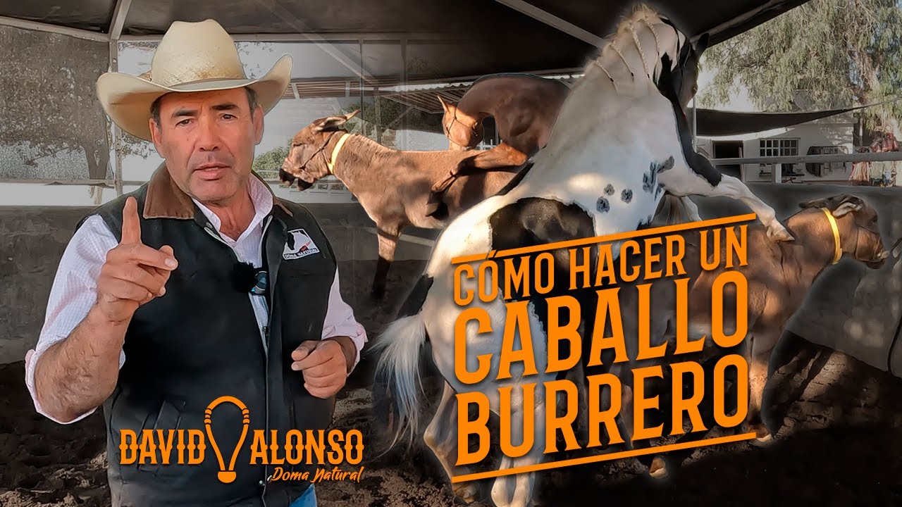 Cómo hacer un Caballo Burrero