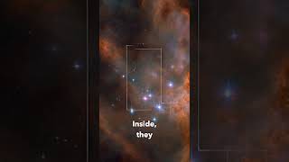 James Webb Reveals Inside a Star Factory — Shocking Discovery Changes Astronomy #shorts