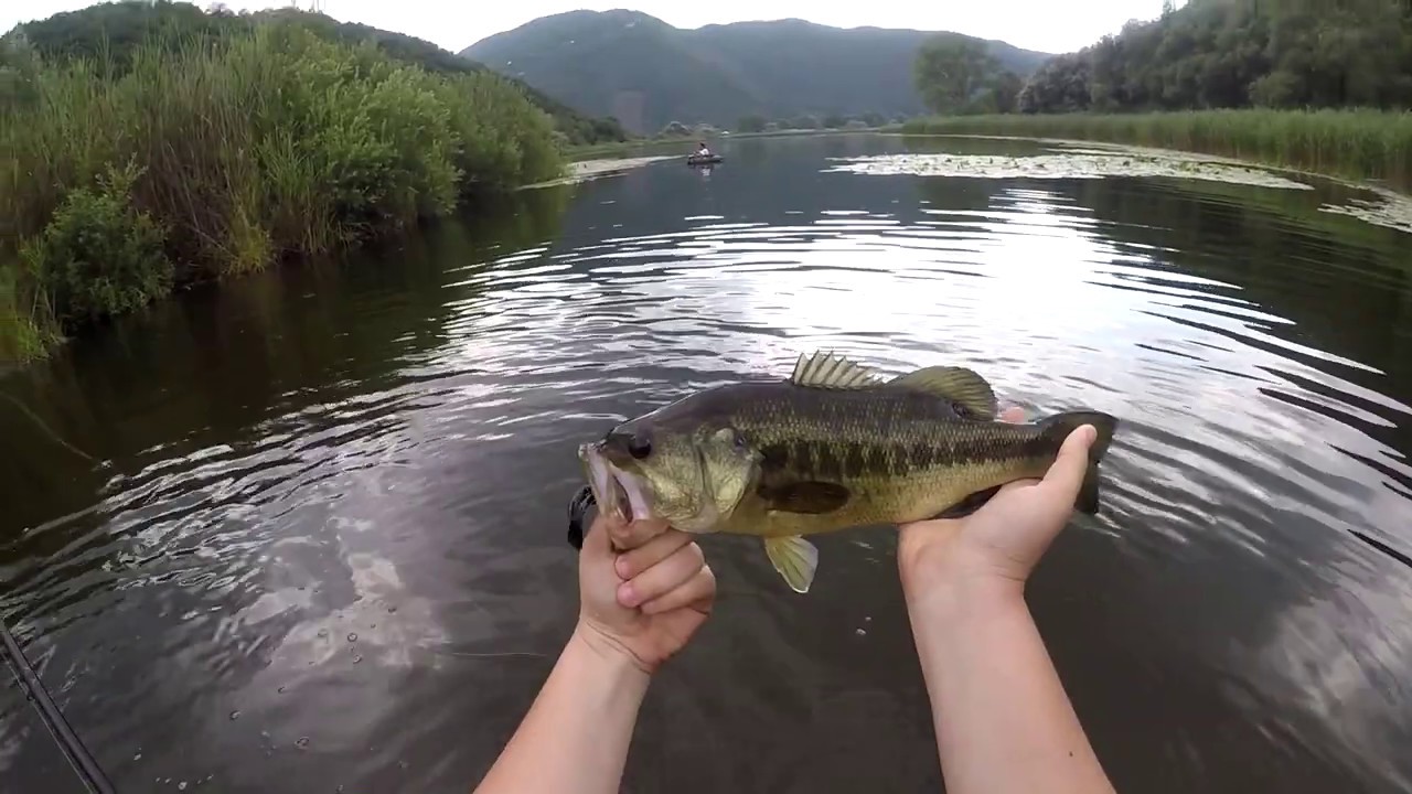 Bass Fishing sul lago di Ventina Italian Bass Fishing YouTube