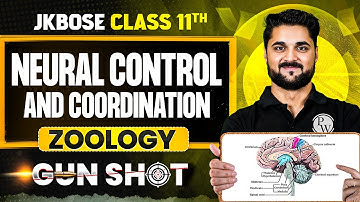 JKBOSE Class 11th Zoology | Neural Control and Coordination | ONE-SHOT | Gun Shot | JKBOSE Wallah