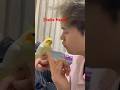 How to Shake Hands #shortsviral #birds #shortsfeed #shorts #shortvideo