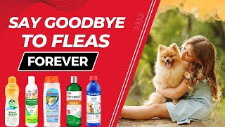 Best Flea Shampoo For Dogs  Keep Your Dog's Coat Clean and FleaFree