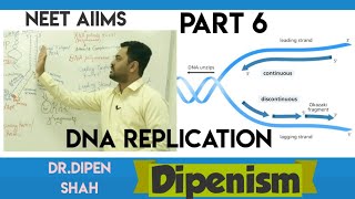 DNA REPLICATION IN HINDI | MOLECULAR BASIS OF INHERITANCE Class 12 CBSE NEET BIOLOGY Dipenism