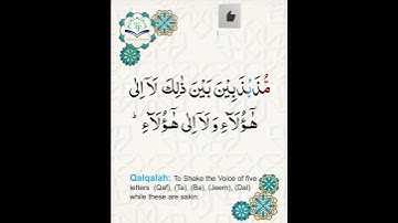 Learn Tajweed of Surah An-Nisa Ayat 143 | تعلم التجويد - سورة النساء | Tajweed Rules + Practice