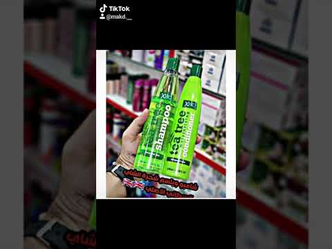 شامبو مكيف شجرة الشاي الاخضر الطبيعي