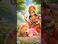 गोलू की प्रार्थना सुनकर माता रानी ने किया चमत्कार 😱🙏 | मोती का एक्सीडेंट और फिर हुआ चमत्कार 🐶✨