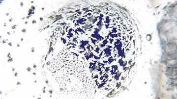 THIRD EYE (6. CHAKRA) RESONANCE | MAGNETO-DIELECTRIC (SCALAR) FIELDS