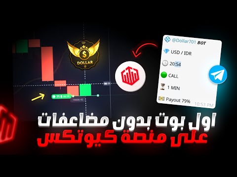 بوت كويتكس للخيارات الثنائية بدون مضاعفات تجربة واقعية ونتائج مبهرة 