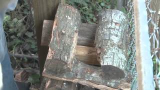 Firewood - split, stack, cover and store Net Worth