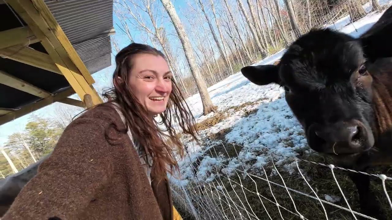Вчера не было так холодно | Зимняя дойка на ферме