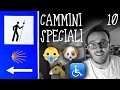 GUIDA al CAMMINO di SANTIAGO • Con bambini 👶 | Su sedia a rotelle ♿ | Con cani e animali 🐾 (ep.10)