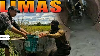 Download Lagu P1 - Panlilimas ng Balon - EP2047 MP3 Download Lagu P1 - Panlilimas ng Balon - EP2047 MP3