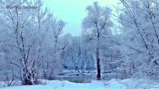 Walking with Beautiful Winter Snow Falling 2hrs with Piano Music,Relaxing Music for Relaxation,sleep