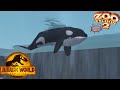 Arluq The Orca Zoo Tycoon 2 Marine Mania Part 2 Final