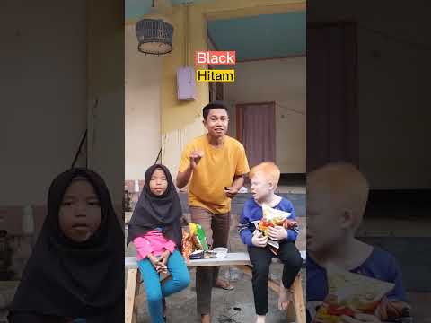 Video: Apakah rusa hitam berbicara bahasa Inggris?