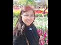 Tulips flowers field #shorts #flowers #tulips #gardenflowers #nature