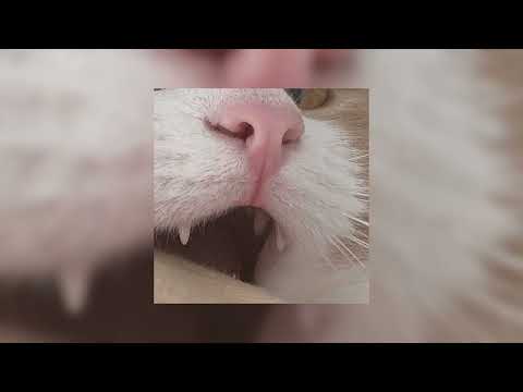 GONE.Fludd - КУБИК ЛЬДА speed up