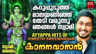 Ayyappa Devotional Songs Malayalam | Vineeth Sreenivasan | Hindu Devotional Songs Malayalam