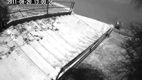 Omnibird VTMC Unit-XII Temporary Surveillance Sample