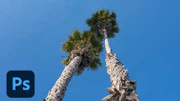 Photoshop Magic Minute: Using Content-Aware Fill in Photoshop | Adobe Photoshop