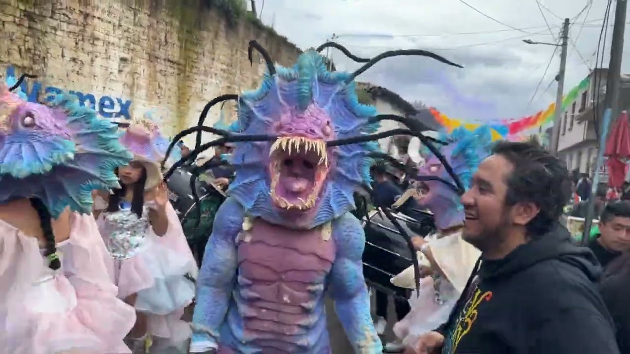 CARNAVAL SAN FRANCISCO TLALCILALCALPAN VLV 2025