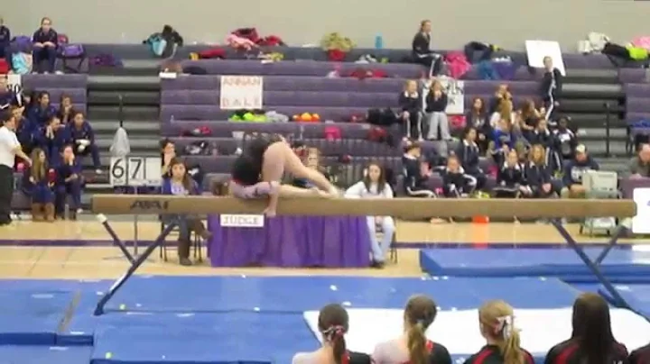 2013 Buffalo Gymnastics Invite