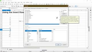 Create an INSERT ROW Keyboard Shortcut | LibreOffice Calc Net Worth