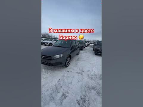 Ну наконец то появился цвет Борнео 🙉🥳🥳🥳 #lada #лада #ладагранта # ...