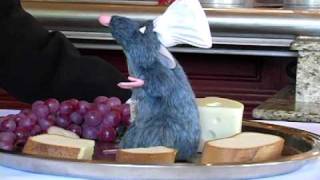 Chef Remy at WDW Les Chefs de France Restaurant