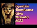 Visitamos la exposicin de tutankamon en la cdmx