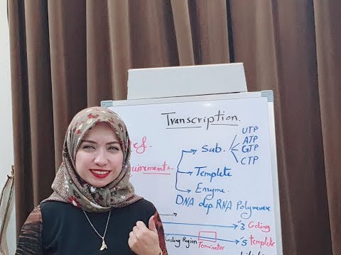 (Molecular Biology Session