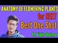 Anatomy of Flowering Plants in One Shot for NEET