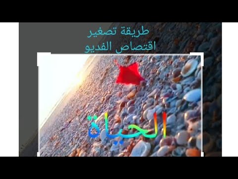 فيديو: هل يعني اقتصاص؟