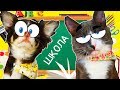 ЮМИ и АЛИСА ИДУТ в ШКОЛУ ПОКЕМОН и КОТОМОНСТР готовятся к ШКОЛЕ | Magic Pets