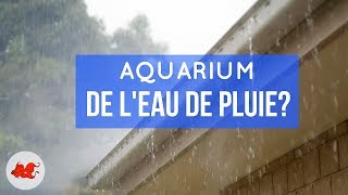 Eau de pluie pour aquarium