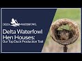 Delta waterfowl hen houses our top duck production tool