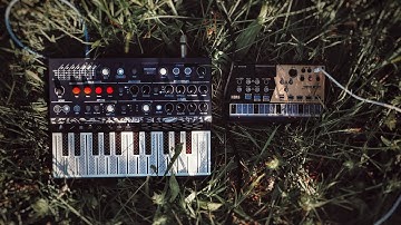 Microfreak + Volca Drum Outdoor Jam