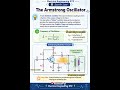 Armstrong Oscillator Explained in 60 Seconds ⚡ Transformer Feedback Circuit #482