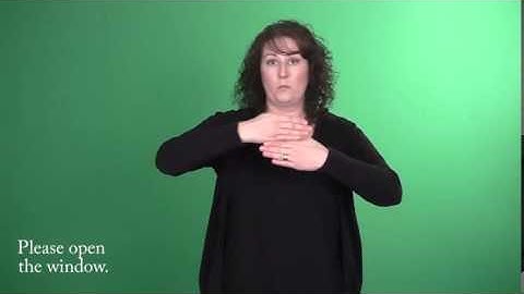 Sign Language - Level 1: Verb pairs to make requests using open and close