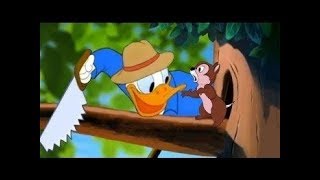 ᴴᴰ Pato Donald Y Chip Y Dale Dibujos Animados - Pluto, Mickey Mouse Episodios Completos Nuevo 2019
