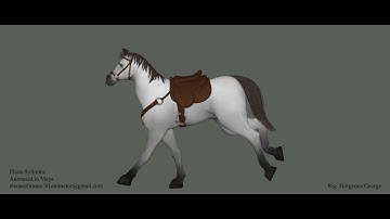 Horse Run Cycle Animated By Elena Solimine
