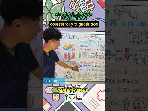 COLESTEROL Y TRIGLICERIDOS | GuiaMed #quimicasanguinea