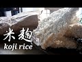 米袋で簡単にできる米麹の作り方~How to make koji rice.