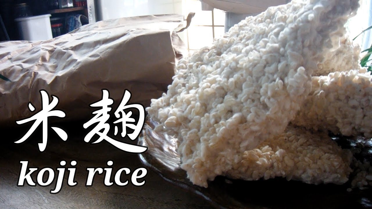 米袋で簡単にできる米麹の作り方～How to make koji rice.