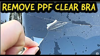 Easiest Clear bra PPF Removal Technique  Once I Found the Trick it was Fast and Easy