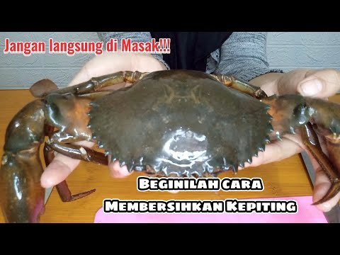 Cara Memasak Kepiting Agar Tidak Bau Amis